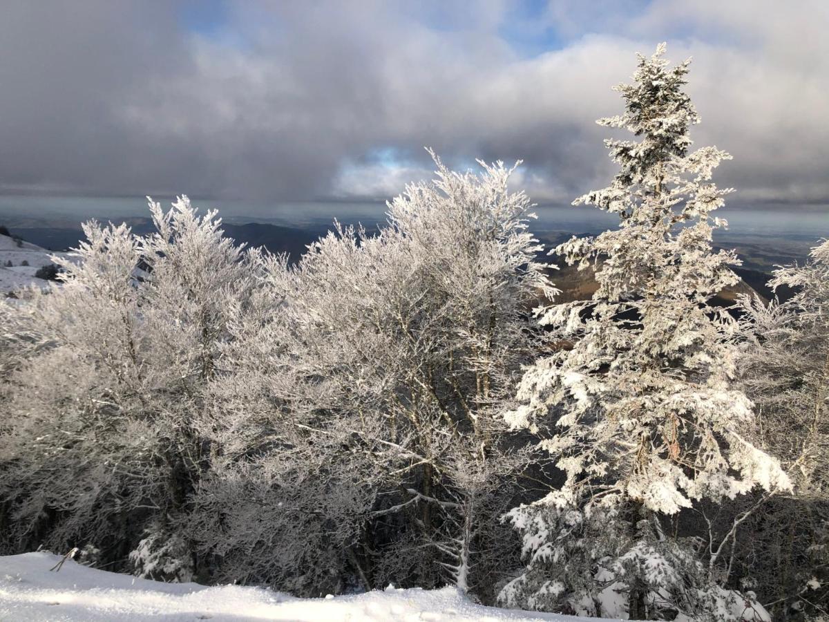Chateau Porthos Tranquillite Des Pyrenees Lanne-en-Baretous المظهر الخارجي الصورة