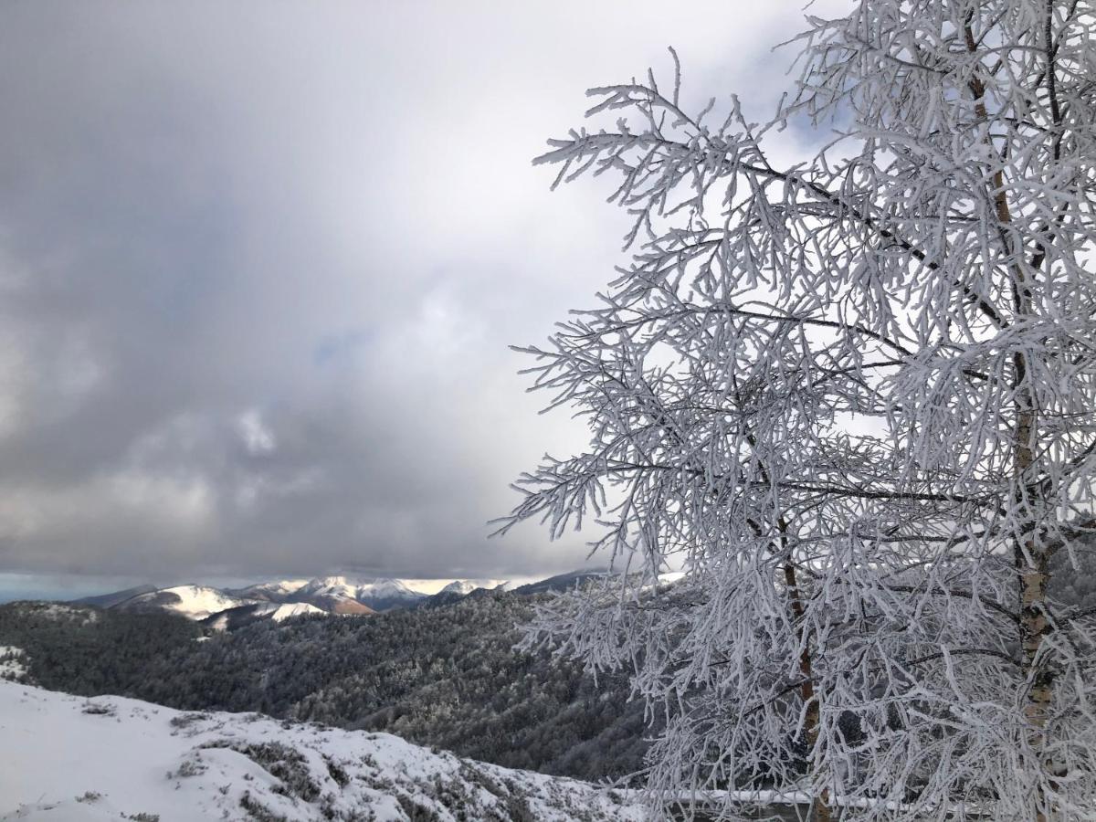 Chateau Porthos Tranquillite Des Pyrenees Lanne-en-Baretous المظهر الخارجي الصورة