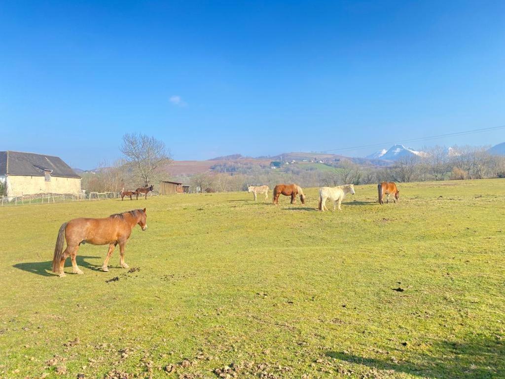 Chateau Porthos Tranquillite Des Pyrenees Lanne-en-Baretous المظهر الخارجي الصورة